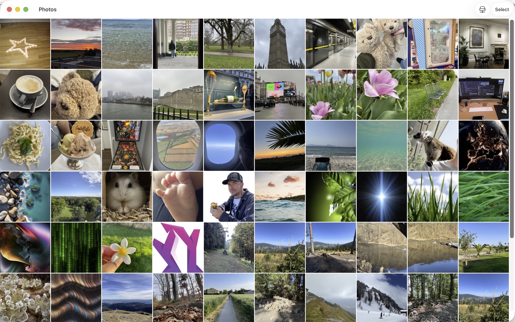 Loomey Viewer on Mac — photo archive on a NAS browsed over SMB in a large grid